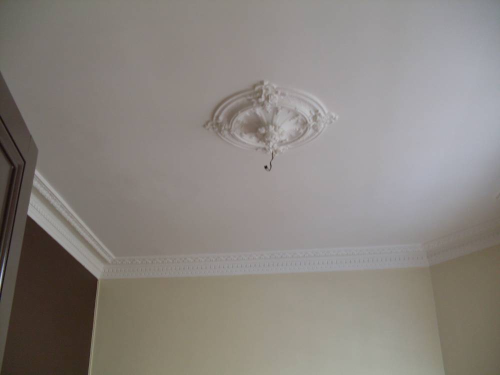 SDC11165.JPG